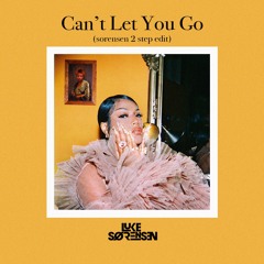 Can't Let You Go - Stefflon Don (Sorensen 2 Step Edit)