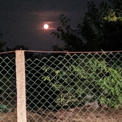 RASTA CHE FA LE FOTO cover