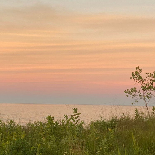 hết yêu thật sao | speed up