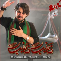 Farhan Ali Waris - Zainab Zainab - Noha - 2022 1444