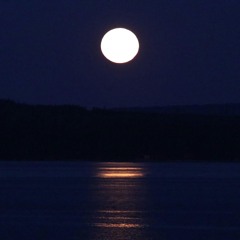 Moonlight's Gaze