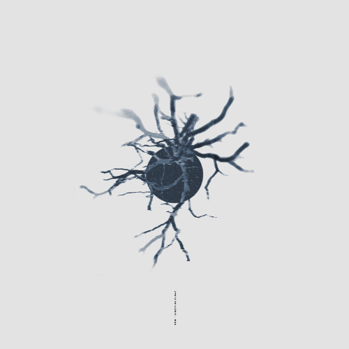 Kori - Circle of Stone