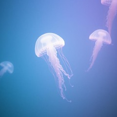 Depths of the Abyss