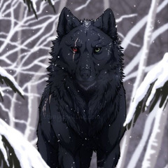 TEIRTDO x BINHTINH | LONELY WOLF
