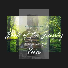 Book of the Junglez Vibes Tom I [Medley Sampler MIX]
