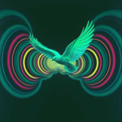 Hypnotic Flight