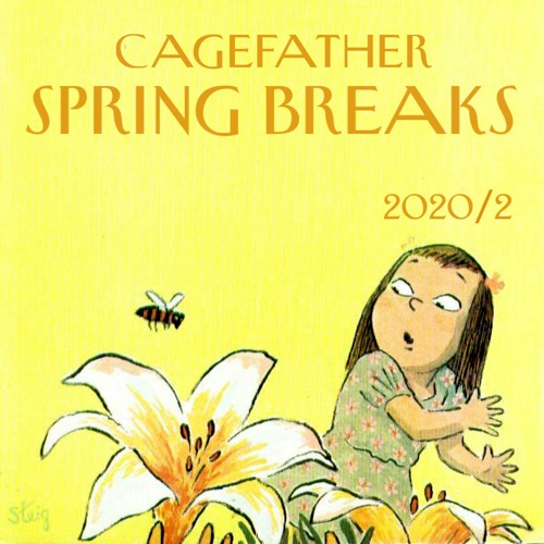 spring breaks 2020 / 2