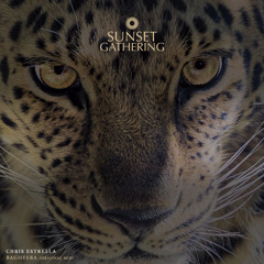 Chris Estrella - Bagheera (Original Mix)