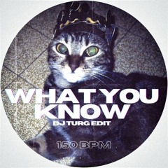 Two Door Cinema Club - What You Want (DJ Turg trance edit)