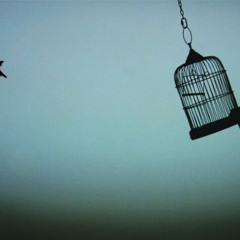 Bon Iver-Skinny love (Birdy Rendition/Kelsey Elizabeth Cover)