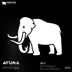 Self Escape (M. Rodriguez Remix)