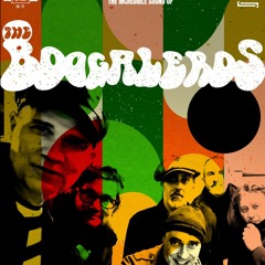 The Boogaleros, découverte musicale | Starting Block l'émission