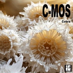 Cobra (Extended Version)