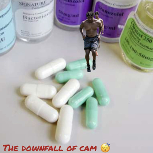 DAYDAY - The Downfall Of Cam(cam diss)