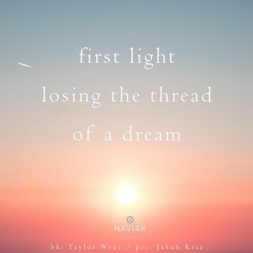 Amissa Lux (naviarhaiku451)