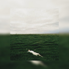 HaDe - Imaginary