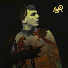 Nice Age 029B: Will Silver Mix