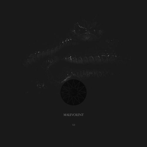 Aikanã - Basilisk