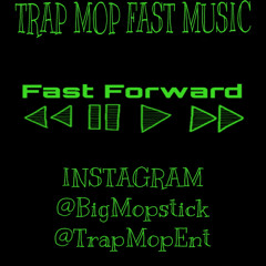 GMO STAX - EXICTED FAST