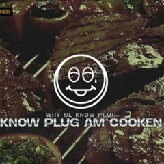 Know Plug am Cooken