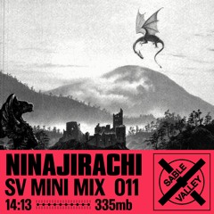 MiniMix 011: Ninajirachi