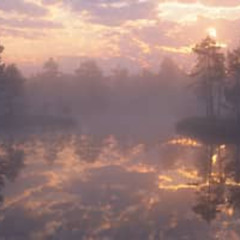 POR EL SONIDO prod.youngflyer