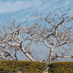 Help Me Lose My Mind (Progressive Deep House Remix)