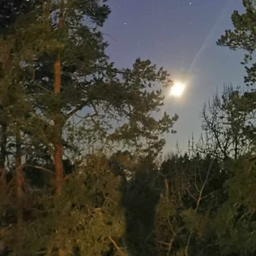 Moonlight