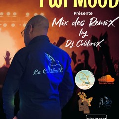 Mix des Remix Vol 3 By Le ColibriX FWI Mood