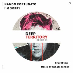 Nando Fortunato - I'm Sorry (Melih Aydogan Remix)