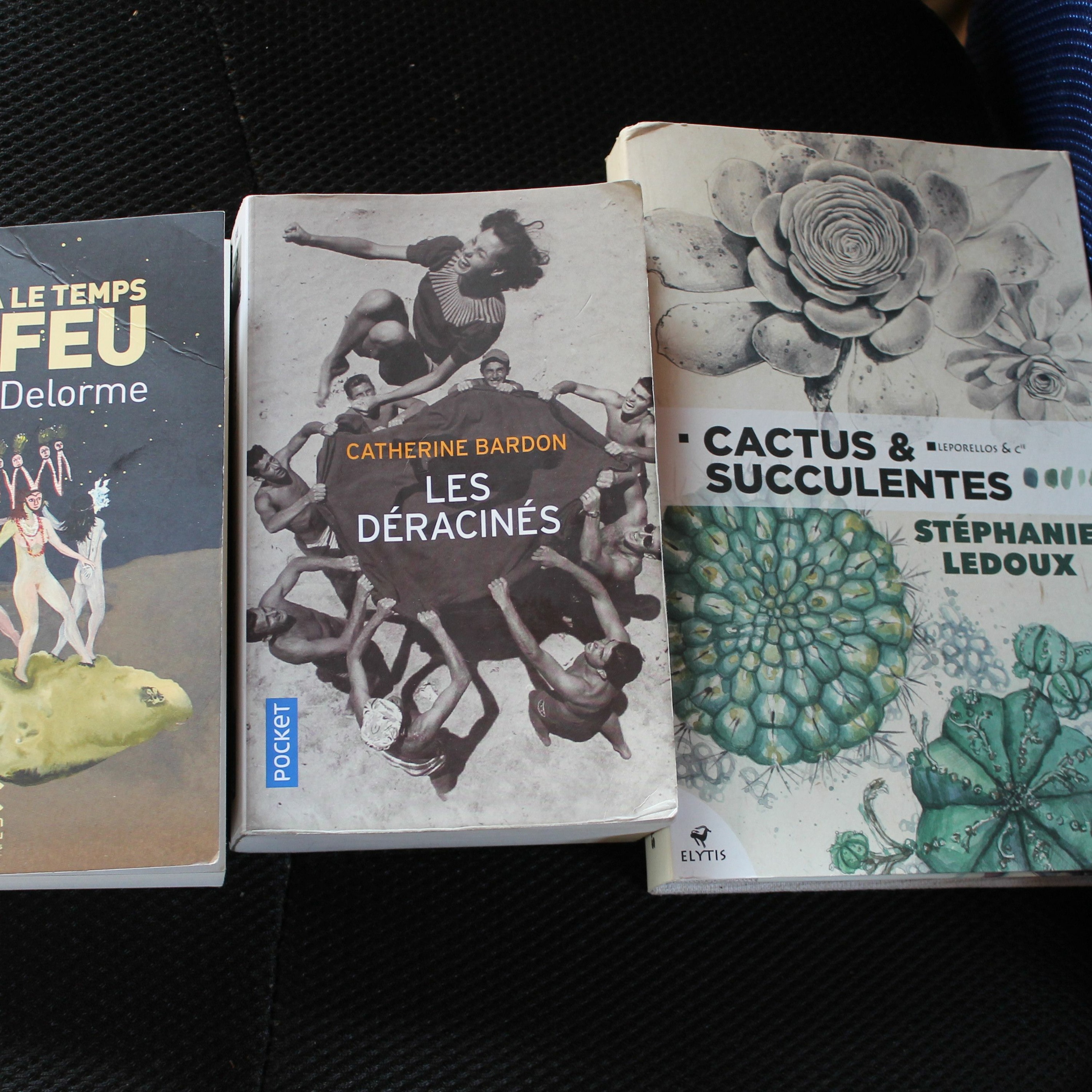 J'ECRIRAI DES SOLEILS 21