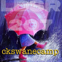 LDSR 2o7 - ckswanecamp