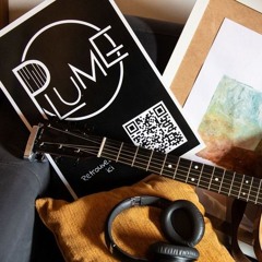 Plume - Il Restera De Toi (EP 2024)