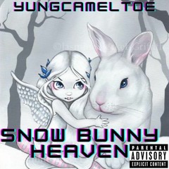 Snow Bunny Heaven