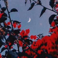 always on my mind [w. Lys]