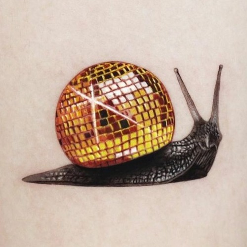 Blanqua & Driha - Minsen Toch (livejam)