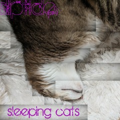Sleeping Cats (preview)