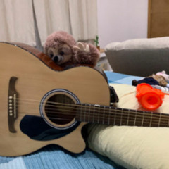DON GERARDO REGRESO