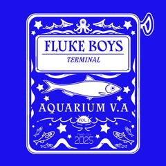 13. Fluke Boys - Terminal
