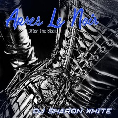 Apres Noir by DJ Sharon White