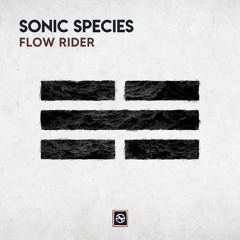 Flow Rider (New Album Single)