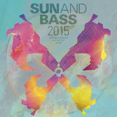Alite vinyl set with Alite MC Fox  and Blackeye @ Sun And Bass 2015