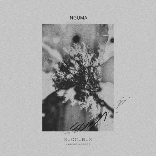 Various Artists - Succubus [NGM001]