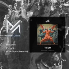 PREMIERE: Dari Dark - Fortuna [Exit-Scam-Records]