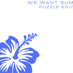 puzzle - WE WANT SUM (HARDGROOVE EDIT) [DID003]