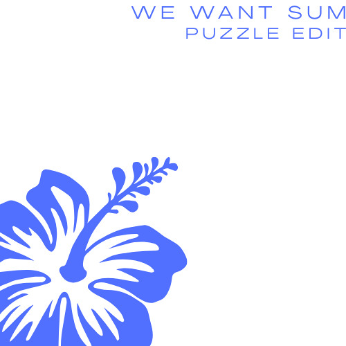 puzzle - WE WANT SUM (HARDGROOVE EDIT) [DID003]