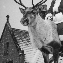 the man on the reindeer