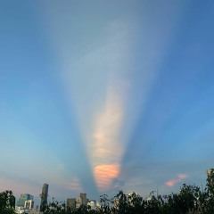 Ascension - Organic House Mix vol.5