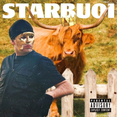 THE HOLIDAY - STARBUOI