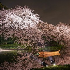 Stream Go! Go! 7188 - 浮舟(feat GUMI) by ふたべ ゆる | Listen